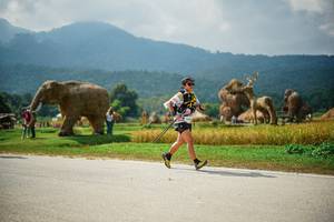 BIB: 
                            <button type="button" onclick="openModal(22434443)" class="btn btn-primary btn-sm float-right btn-popup" data-toggle="modal" data-target=".modal-high-quality">
                        <i class="fas fa-shopping-cart"></i> Add to Cart
                    </button>
                                            <button type="button" onclick="isThisMe(22434443, true)" class="btn btn-success btn-sm float-right btn-popup btn-isme hidden" data-toggle="tooltip" data-placement="bottom" title="นี่คือรูปของคุณใช่ไหม คลิกที่นี่เพื่อเอาเข้าอัลบั้ม">
                        <i class="fas fa-plus"></i> Add to album
                    </button>
                    <button type="button" onclick="isThisMe(22434443, false)" class="btn btn-warning btn-sm float-right btn-popup btn-isnotme hidden">
                        <i class="fas fa-ban"></i> Remove from album
                    </button>